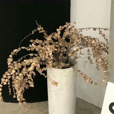 兽设质感表现技巧福瑞交流群